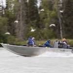 In this July 24, 2016 file photo, a guide boat motors upstream on the Kenai River near Kenai, Alaska. (Photo courtesy Rashah McChesney, file)