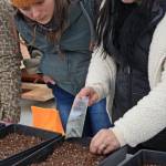 Wellness consultant Tia Holley, right, explains traditional uses of local plants and germination techniques to Jasmine Koster during a seed-planting demonstration at the Dena&rsquo;ina Wellness Center on Jan. 25. (Photo by Erin Thompson/Peninsula Clarion)