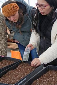 Wellness consultant Tia Holley, right, explains traditional uses of local plants and germination techniques to Jasmine Koster during a seed-planting demonstration at the Dena&rsquo;ina Wellness Center on Jan. 25. (Photo by Erin Thompson/Peninsula Clarion)