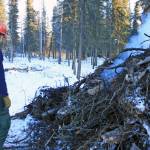 Mike Hill, assistant fire management officer, feeds a pile of wood during a prescribed burn in the Kenai National Wildlife Refuge. The scheduled burn is part of an effort to reduce risk of wildfires. (Photo by Erin Thompson/Peninsula Clarion)