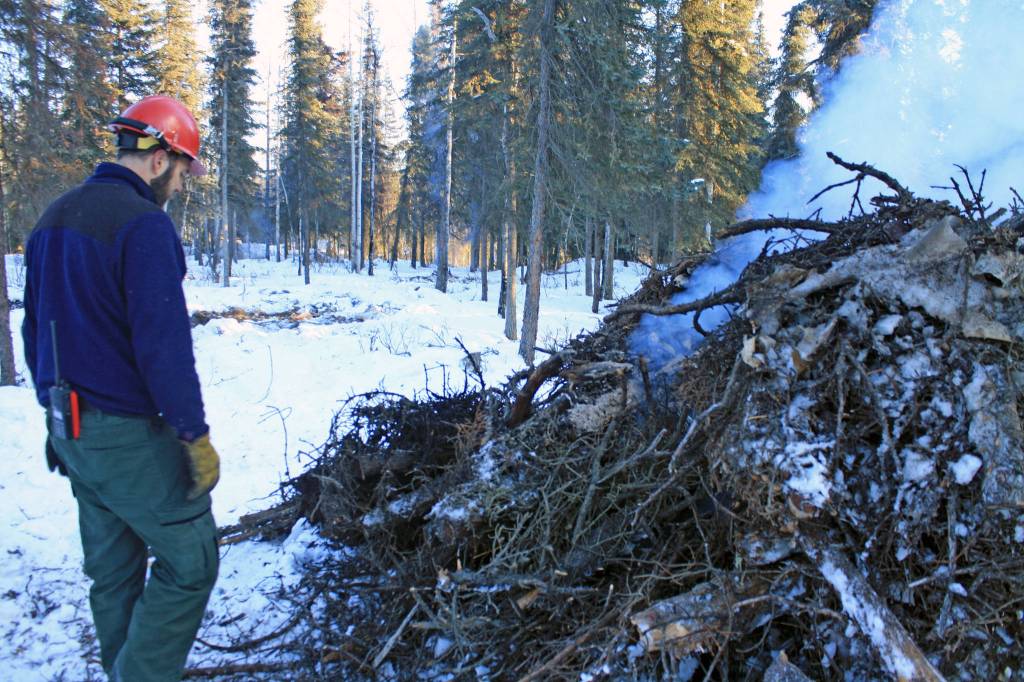 Mike Hill, assistant fire management officer, feeds a pile of wood during a prescribed burn in the Kenai National Wildlife Refuge. The scheduled burn is part of an effort to reduce risk of wildfires. (Photo by Erin Thompson/Peninsula Clarion)