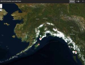 This screenshot from the Alaska Harmful Algal Bloom Network&rsquo;s website shows the alerts issued for paralytic shellfish poisoning along the state&rsquo;s gulf coast. (Courtesy the Alaska Ocean Observing System)