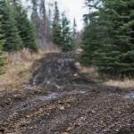 The road to Gray Cliff and Moose Point is a narrow, muddy path, shown on April 11, 2016 near Nikiski. The Kenai Peninsula Borough is working on plans to extend a gravel road toward the subdivisions north of Nikiski. (Photo by Elizabeth Earl/Peninsula Clarion, file)