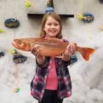 Catching the perfect picture