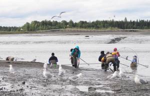 Personal-use dipnet fishermen fish for sockeye salmon on the north side of the Kasilof River&rsquo;s mouth in this June 2017 photo near Kasilof, Alaska. (Photo by Elizabeth Earl/Peninsula Clarion, file)