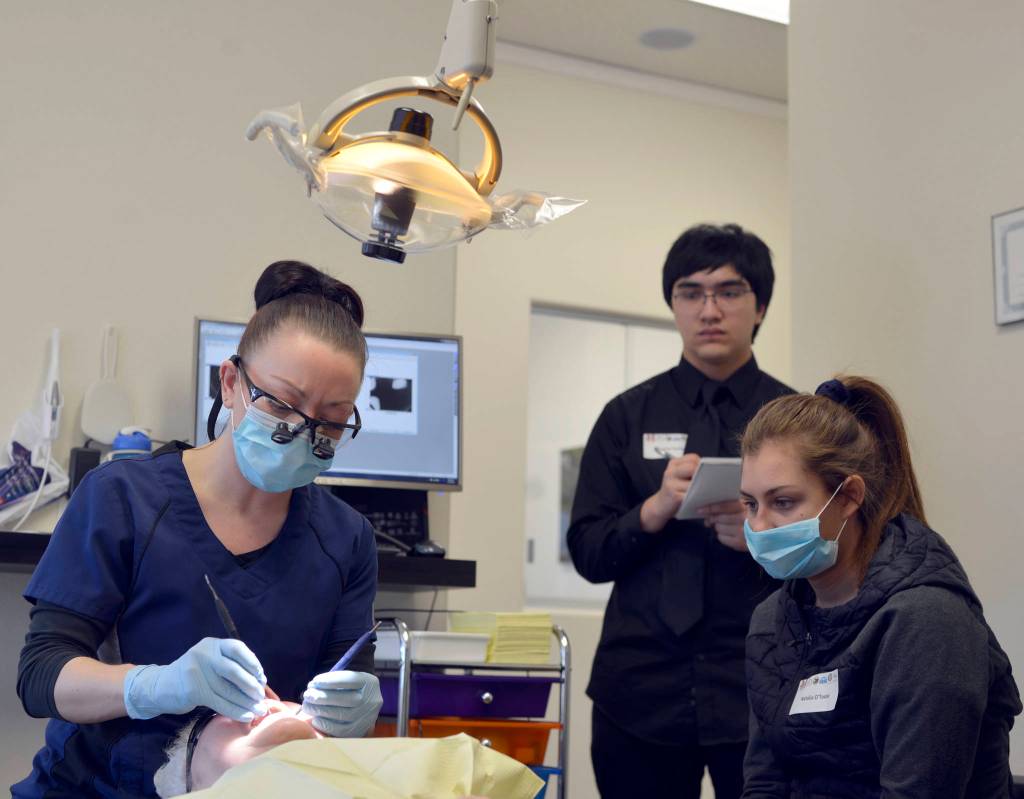 Kenai Central High School junior Natalia O&rsquo;Toole shadows Kylie Zeyer, a dental hygenist with Denali Family Dentistry on job shadow day Wednesday in Kenai. Delbrian Parfitt, center, reports for the Clarion on the job shadow event. (Photo by Maria Salzetti/For the Clarion)