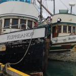The F/V Kupreanof and F/V Leading Lady are moored at the Homer Harbor in 2013. The smell of rotting fish came from the boats and a light oil sheen surrounded them. (Michael Armstrong/Homer News, file)