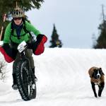 Cody Czer-Ransom and her dog, Drifter, slalom down a hill Feb. 10 during Fat Freddie&rsquo;s Bike Race and Ramble in the Caribou Hills. With school vacation just a week away and daylight hours getting longer, now is a great time to get outdoors. See Page B1 for some more spring break ideas. (Photo by Jeff Helminiak/Peninsula Clarion)