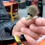 LEFT: Dave Atcheson displays a fly that resembles a small mouse, which would be useful in western Alaska where the small animals are a major food source for local fish. (Photo by Kat Sorensen/Peninsula Clarion)