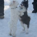 &ldquo;OK, here&rsquo;s the plan you get the big ones I&rsquo;ll take the little stuffies.&rdquo;