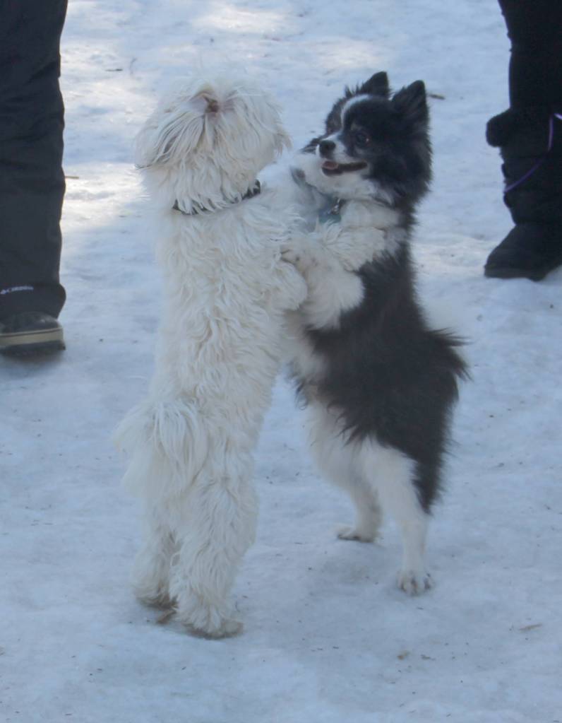 &ldquo;OK, here&rsquo;s the plan you get the big ones I&rsquo;ll take the little stuffies.&rdquo;