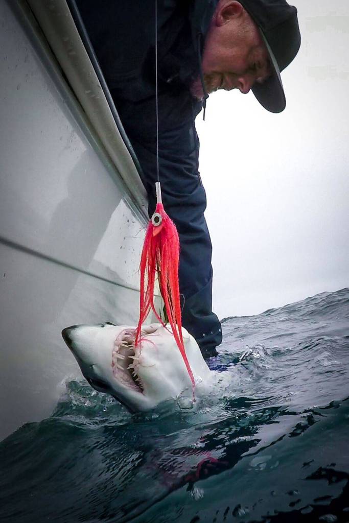 A still from the short film &ldquo;Mako,&rdquo; which will be playing at Saturday&rsquo;s International Fly Fishing Festival in Kenai. (Photo Courtesy of Bird Marketing Group)