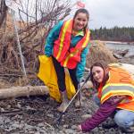 Girl Scout Caitlyn Crapps searches for trash along the Kenai River in Soldotna during the May 2 Green Up, Clean Up event hosted by the Kenai National Wildlife Refuge. (Photo by Erin Thompson/Peninsula Clarion)