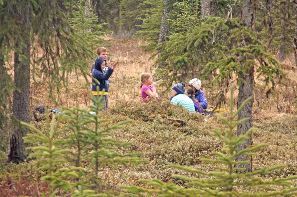 Kids take a break during the 18th Annual Kenai Peninsula Salmon Celebration at Johnson Lake State Recreation Site. Approximately 950 borough students released 5,000 fish into Johnson Lake as part of an Alaska Department of Fish and Game restocking effort. (Photo by Erin Thompson/Peninsula Clarion)