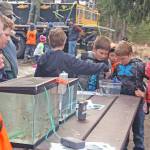 Students examine juvenile fish at one of the educational stations at the 18th Annual Kenai Peninsula Salmon Celebration at Johnson Lake State Recreation Site in Kasilof. Approximately 950 borough students released 5,000 fish into Johnson Lake as part of a restocking effort. (Photo by Erin Thompson/Peninsula Clarion)