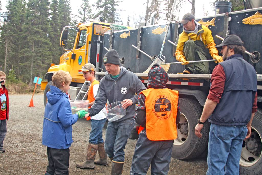 Students wait to receive rainbow trout from the Alaska Department of Fish and Game during the 18th Annual Kenai Peninsula Salmon Celebration at Johnson Lake State Recreation Site in Kasilof. Approximately 950 borough students released 5,000 fish into the lake as part of a restocking effort. (Photo by Erin Thompson/Peninsula Clarion)