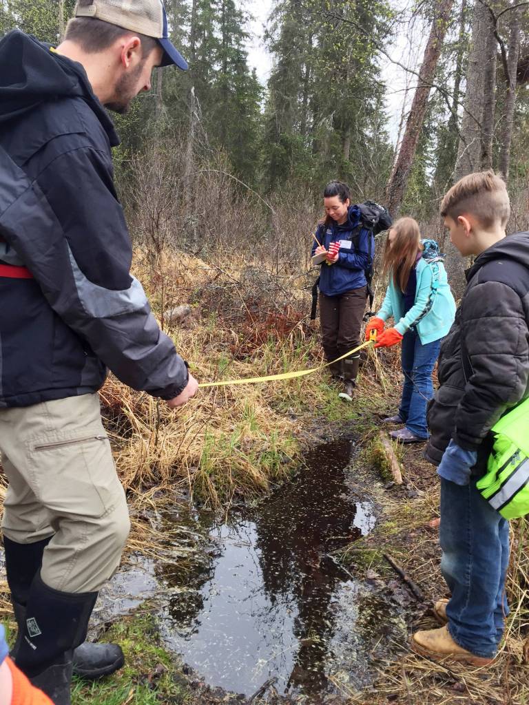 Kalifornsky Beach Elementary School fifth grade teacher Jason Daniels (left) helps students Mya Fielden and Draek Harris measure the distance across a puddle along a trail near the school on Friday, May 18, 2018 near Soldotna, Alaska. The class worked with the Kenai Watershed Forum this year to improve the trail and place plant identification signs along it. (Photo by Elizabeth Earl/Peninsula Clarion)