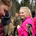 Kalifornsky Beach Elementary School fifth grade students Kennedy Whitney (left), Marshal Burnett (center) and Alyssa McDonald (center) work together to distribute plant identification signs they made on a trail near the school on Friday, May 18, 2018 near Soldotna, Alaska. The class worked with the Kenai Watershed Forum this year to improve the trail and place plant identification signs along it. (Photo by Elizabeth Earl/Peninsula Clarion)