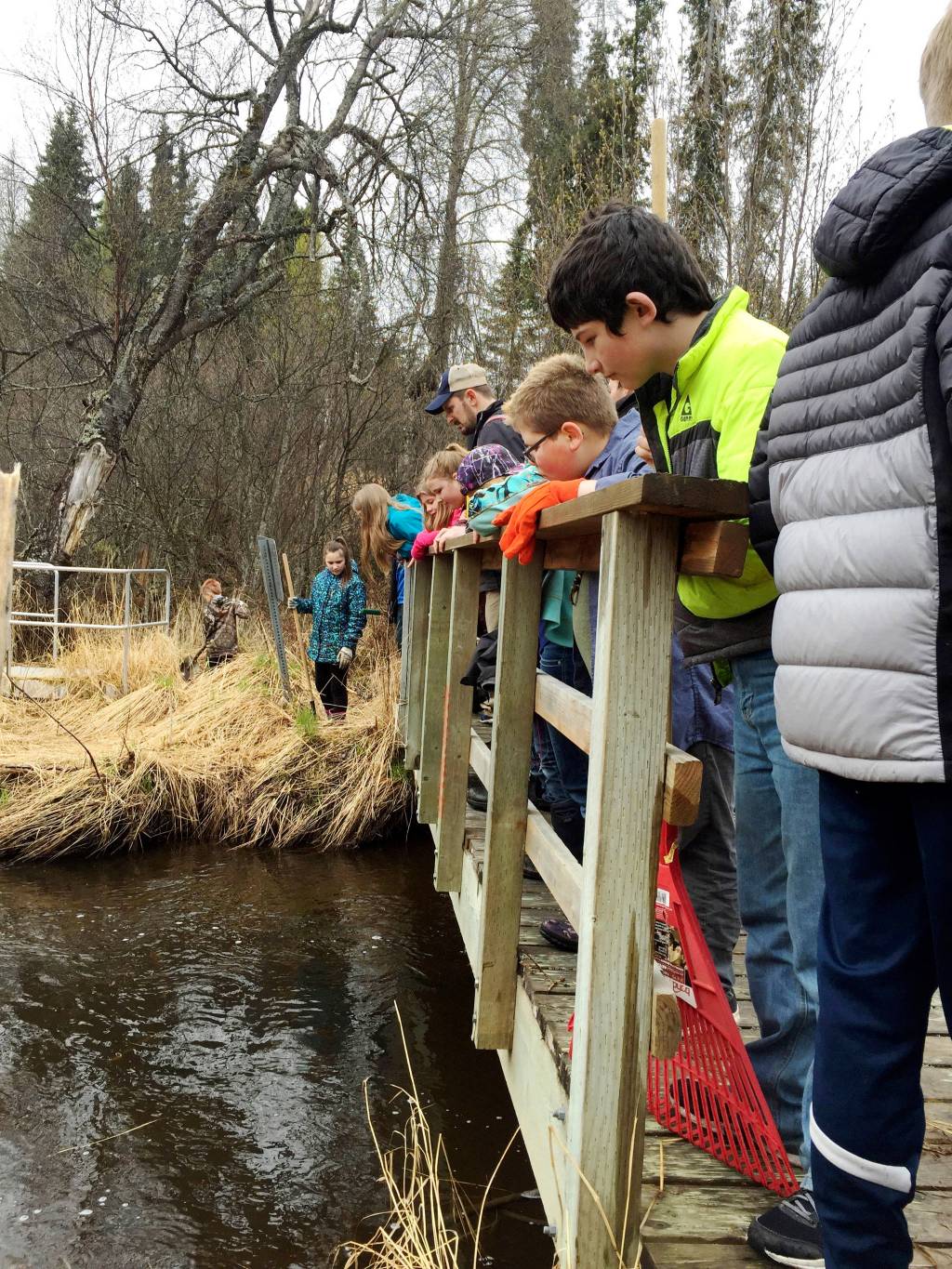 Kalifornsky Beach Elementary School fifth grade students in Jason Daniels&rsquo; class peer into Slikok Creek from a bridge on a trail near the school on Friday, May 18, 2018 near Soldotna, Alaska. The class worked with the Kenai Watershed Forum this year to improve the trail and place plant identification signs along it. (Photo by Elizabeth Earl/Peninsula Clarion)