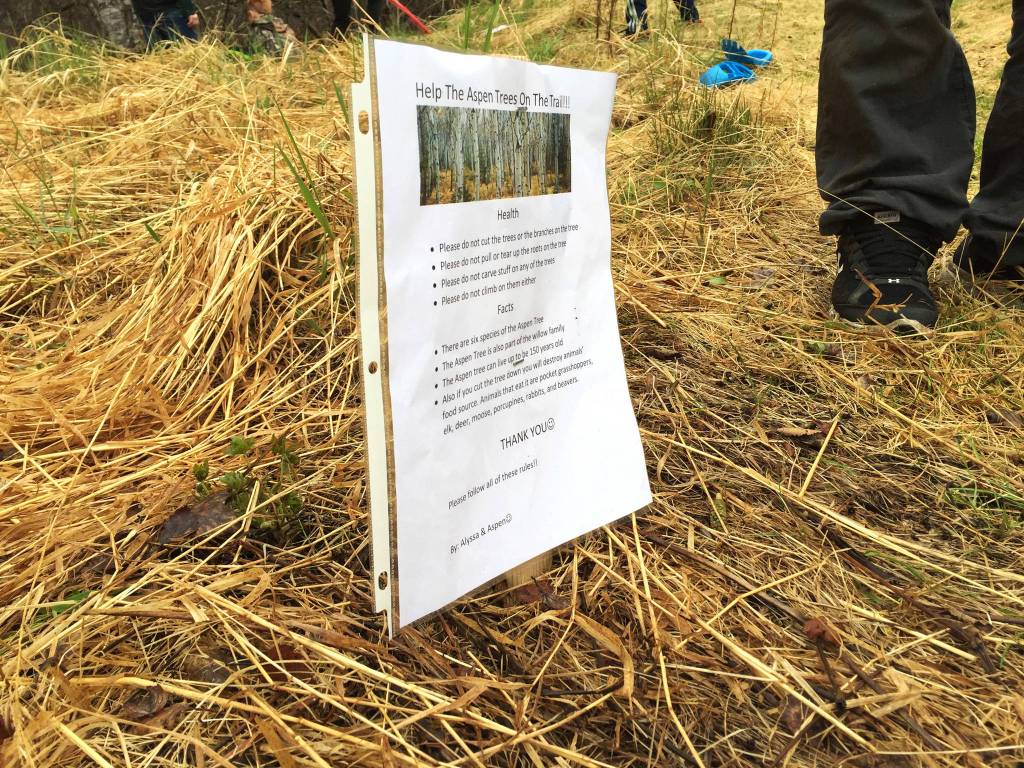A sign mounted by 5th grade students from Kalifornsky Beach Elementary School stands beside a trail near Kenai Peninsula College on Friday, May 28, 2018 in Soldotna, Alaska. (Photo by Elizabeth Earl/Peninsula Clarion)