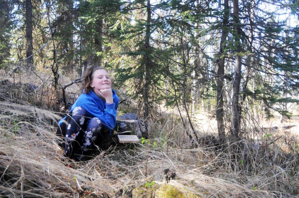Heaven Engle, a 6th grade student at Tustumena Elementary School, poses with her plant identification sign on a trail near the school on Tuesday, May 22, 2018 in Kasilof, Alaska. (Photo by Elizabeth Earl/Peninsula Clarion)
