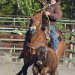 Charlie Willis chases down a cow in a cattle roping routine Friday during events at the PCRS Rodeo at the Soldotna Rodeo Grounds. (Photo by Joey Klecka/Peninsula Clarion)