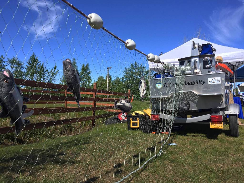 Stuffed salmon hang in a gillnet from the back of the &ldquo;F/V Sustainability&rdquo; display at the Alaska Seafood Marketing Institute&rsquo;s booth at the Kenai River Festival on Saturday, June 9, 2018 in Soldotna, Alaska. The annual festival, coordinated by the Kenai Watershed Forum, began Friday night and continues through Sunday. (Photo by Elizabeth Earl/Peninsula Clarion)