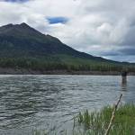 An angler prepares to cast a line into the Kenai River just downstream of the confluence with the Russian River on Monday near Cooper Landing. (Photo by Elizabeth Earl/Peninsula Clarion)