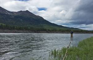 An angler prepares to cast a line into the Kenai River just downstream of the confluence with the Russian River on Monday near Cooper Landing. (Photo by Elizabeth Earl/Peninsula Clarion)
