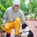 Inmate Alan Newby pets Hailey, a boxer mix being rehabilitated through the prison&rsquo;s Shelter Pet Obedience Training (SPOT) program, on June 28 at the Wildwood Correctional Complex in Kenai, Alaska. The program pairs up inmates and abandoned dogs, who later go up for adoption. (Photo by Erin Thompson/Peninsula Clarion)