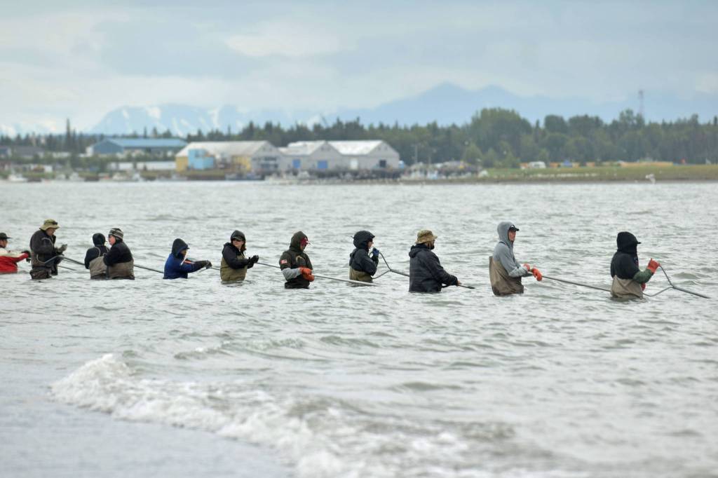 Dipnetters wade into the Cook Inlet in hopes of catching salmon on the first day of dipnetting season on Tuesday, July 10, 2018, in Kenai, Alaska. (Photo by Erin Thompson/Peninsula Clarion)