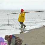 A dipnetter makes his way to the water on Tuesday, July 10, 2018, in Kenai, Alaska. Tuesday marked the opening of the three-week dipnetting season, during which Alaska residents can harvest salmon and flounder for personal use. (Photo by Erin Thompson/Peninsula Clarion)