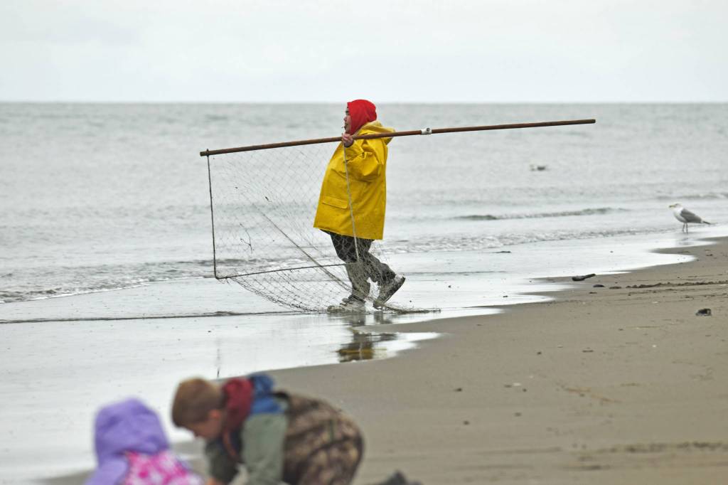 A dipnetter makes his way to the water on Tuesday, July 10, 2018, in Kenai, Alaska. Tuesday marked the opening of the three-week dipnetting season, during which Alaska residents can harvest salmon and flounder for personal use. (Photo by Erin Thompson/Peninsula Clarion)