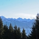 Trees grow on the side of Mt. Marathon overlooking Resurrection Bay on Nov. 6, 2016 near Seward, Alaska. (Elizabeth Earl/Peninsula Clarion)