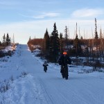 Sean Dunham and Morgan Aldridge pedal fat-tire bikes in the Caribou Hills near Ninilchik on Jan. 8, 2017. (Photo by Will Morrow/Peninsula Clarion)