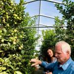 Michael OBrien, owner of OBrien Gardens and Trees, and his daughter Michelle LaVigueur taste test some apples on their farm on Tuesday, Sept. 4, in Nikiski, Alaska. (Photo by Victoria Petersen/Peninsula Clarion)