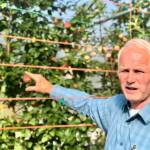 O’Brien Garden’s annual tasting event features the tastes of fall harvest