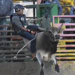 A youth rider attempts to ride out a bucking bull Saturday at the 9/11 Tribute Rodeo at the Soldotna Rodeo Grounds. (Photo by Joey Klecka/Peninsula Clarion)