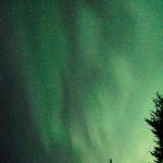 Northern lights glow about 2:30 a.m. Tuesday, Sept. 11, 2018, over Diamond Ridge near Homer, Alaska. At times the aurora spread in a long arc from east to west. (Photo by Michael Armstrong/Homer News)