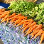 Carrots were harvested and sold at the Soldotna Montessori Charter School Farmers Market on Thursday, Sept. 20, 2018, in Soldotna, Alaska. (Photo by Victoria Petersen/Peninsula Clarion)