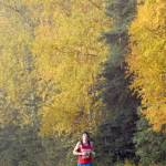 Soldotnas Dan McIntosh flies down Beaver Loop Road on the way to victory in the half marathon of the Kenai River Marathon on Sunday, Sept. 30, 2018. (Photo by Jeff Helminiak/Peninsula Clarion)