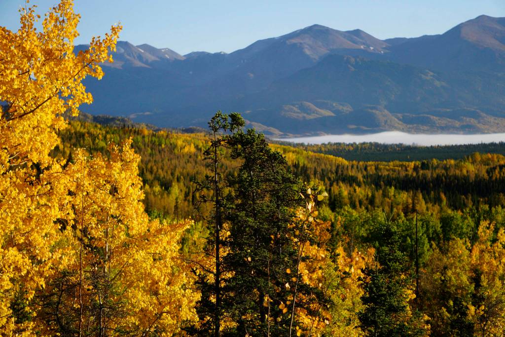 Minister’s Message: Seasons Change — From Death to Life