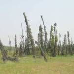 Refuge notebook: The impermanence of permafrost