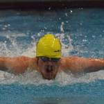 NLC swimming: Stars look to interrupt Kodiak’s dominance