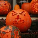 Unhinged Alaska: Bobbin’ for Apples