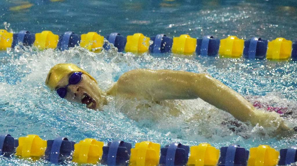Sewards Connor Spanos races in the boys 200-yard freestyle final Saturday at the Northern Lights Conference championship swim meet at Homer High School. (Photo by Joey Klecka/Peninsula Clarion)
