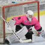 Series preview: Brown Bears vs. Springfield Jr. Blues