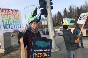 Supporters of the Stand for Salmon Ballot Measure 1 hold signs at the intersection of the Sterling and Kenai Spur Highways on Tuesday, Nov. 6, 2018, in Soldotna, Alaska. (Photo by Victoria Petersen/Peninsula Clarion)