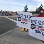 Sarah Youngren and supporters of the Stand for Salmon Ballot Measure 1 hold signs at the intersection of the Sterling and Kenai Spur Highways on Tuesday, Nov. 6, 2018, in Soldotna, Alaska. (Photo by Victoria Petersen/Peninsula Clarion)