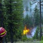 Allie Cunningham above a burnout operation on the Copper King Fire in Montana. (Photo by Parker Anders)
